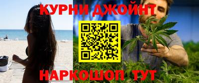 гидра Волгодонск