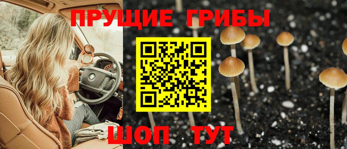 Псилоцибиновые грибы прущие грибы  Галлюциногенные грибы MAGIC MUSHROOMS  Вход с VPN  Казань 