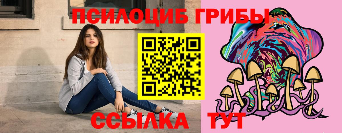 Псилоцибиновые грибы GOLDEN TEACHER  Казань 