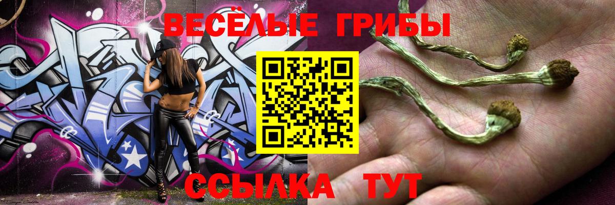 Галлюциногенные грибы ЛСД Казань