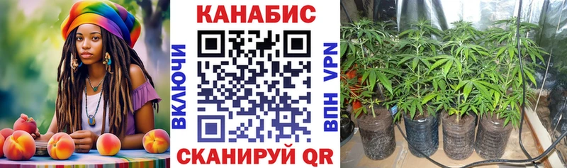 МАРИХУАНА планчик  Казань 