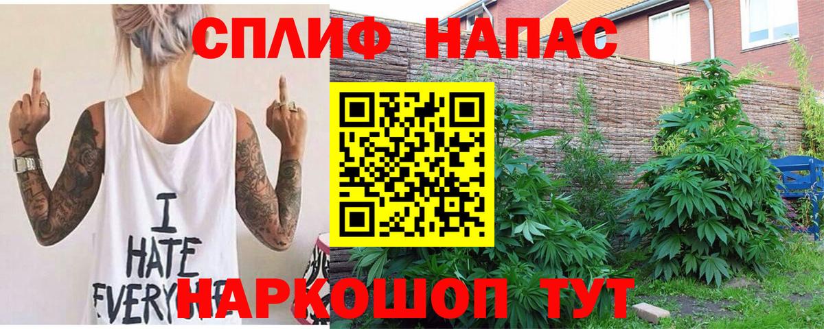 Бошки марихуана Amnesia Казань